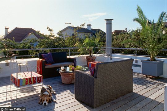 Extension moderne avec toiture terrasse et patio végétalisé